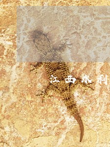 江西水利水电资质转让法律规定 江西水利水电资质转让法律规定