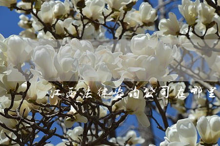 江西法律咨询公司在哪里 江西法律咨询公司在哪里