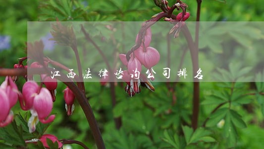 江西法律咨询公司排名 江西法律咨询公司排名