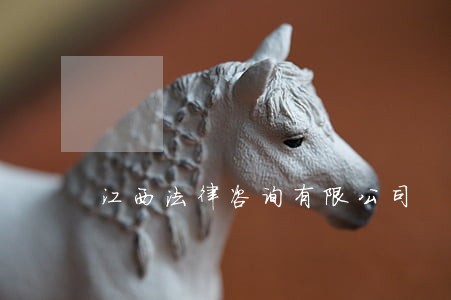 江西法律咨询有限公司 江西法律咨询有限公司