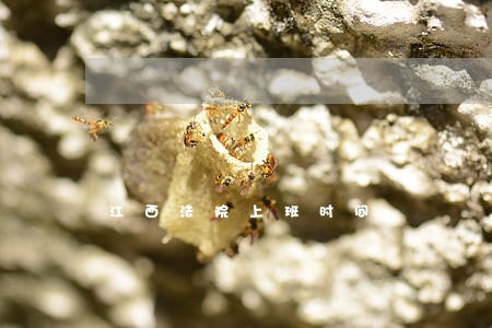 江西法院上班时间 江西法院上班时间