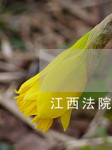 江西法院乡村振兴