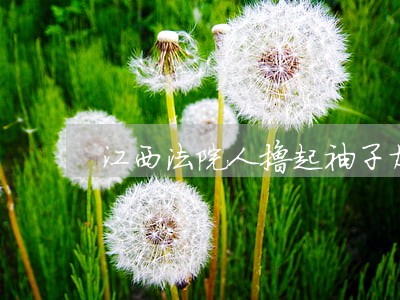 江西法院人撸起袖子加油干 江西法院人撸起袖子加油干