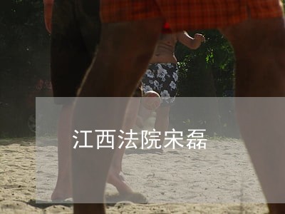 江西法院宋磊 江西法院宋磊