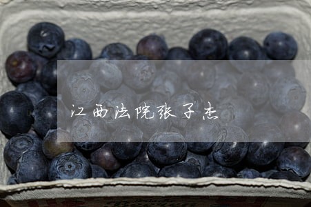 江西法院张子杰 江西法院张子杰