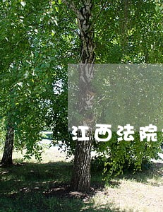 江西法院打伞破网