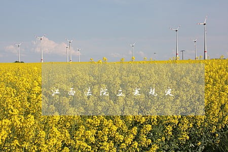 江西法院立案规定 江西法院立案规定