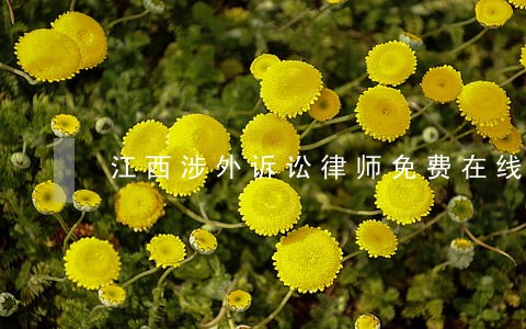 江西涉外诉讼律师免费在线咨询