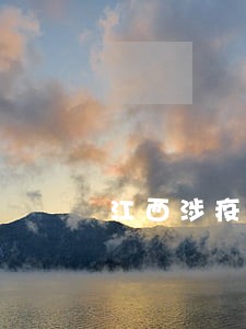 江西涉疫合同纠纷 江西涉疫合同纠纷