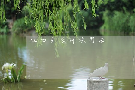 江西生态环境司法