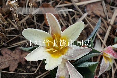 江西省上饶市司法
