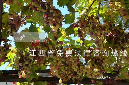江西省免费法律咨询热线