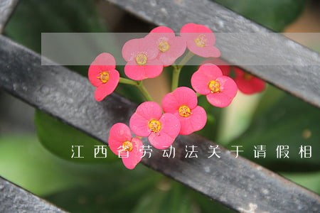 江西省劳动法关于请假相关规定