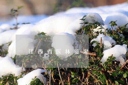 江西省医林鉴定 江西省医林鉴定