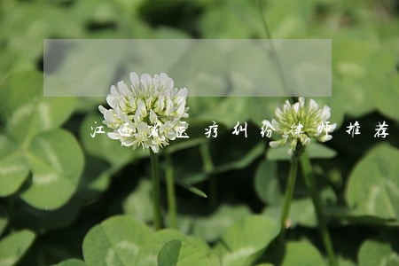 江西省医疗纠纷律师推荐宋枫律师 江西省医疗纠纷律师推荐宋枫律师