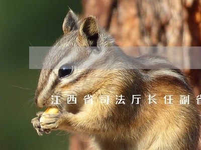 江西省司法厅长任副省长