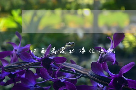 江西省园林绿化法规 江西省园林绿化法规