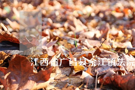 江西省广昌县余江镇法院的电话 江西省广昌县余江镇法院的电话