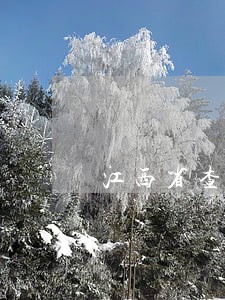 江西省查处175件土地违法案件 江西省查处175件土地违法案件