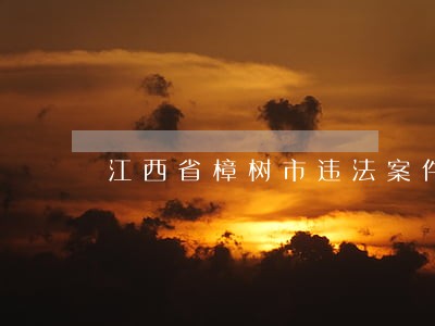 江西省樟树市违法案件