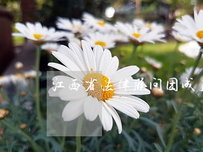 江西省法律顾问团成员 江西省法律顾问团成员