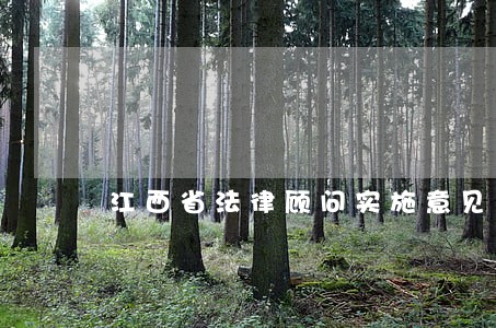 江西省法律顾问实施意见 江西省法律顾问实施意见
