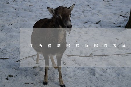 江西省法院检察院招考成绩查询