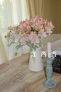 江西省法院管辖标的额 江西省法院管辖标的额