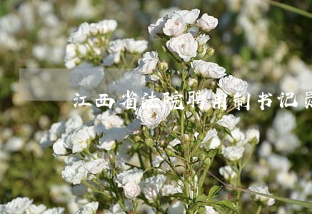 江西省法院聘用制书记员体检