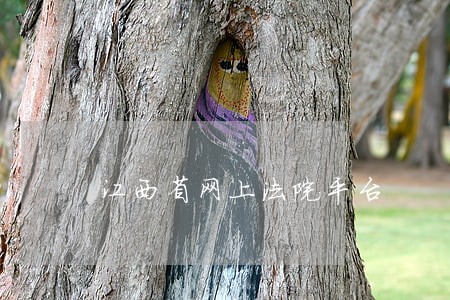江西省网上法院平台