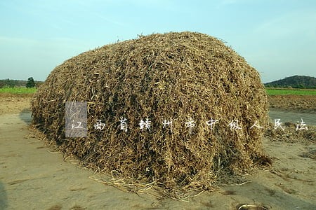 江西省赣州市中级人民法院诉讼 江西省赣州市中级人民法院诉讼