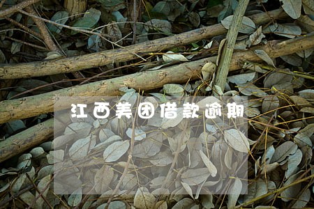 江西美团借款逾期 江西美团借款逾期