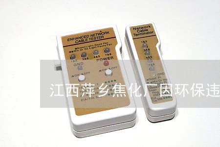 江西萍乡焦化厂因环保违法被处罚