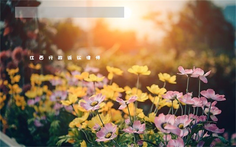 江西行政诉讼律师 江西行政诉讼律师