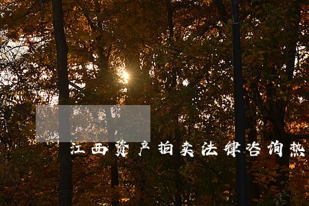 江西资产拍卖法律咨询热线 江西资产拍卖法律咨询热线