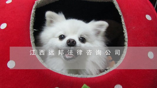 江西远邦法律咨询公司 江西远邦法律咨询公司