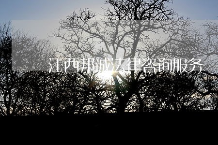 江西邦诚法律咨询服务 江西邦诚法律咨询服务