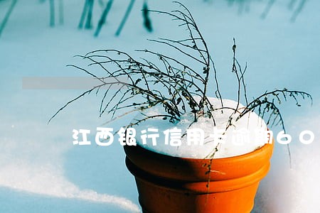 江西银行信用卡逾期60天