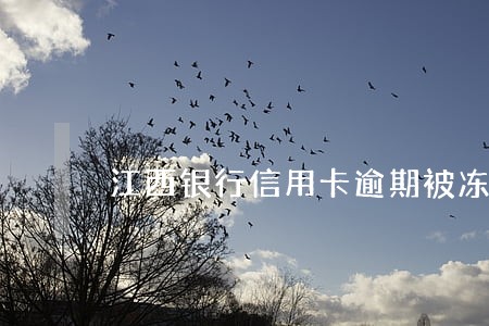 江西银行信用卡逾期被冻结怎么办