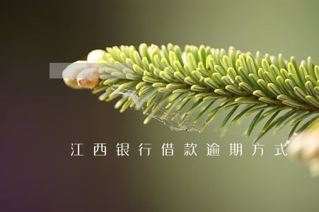 江西银行借款逾期方式 江西银行借款逾期方式