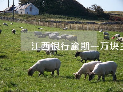 江西银行逾期一万块三个月 江西银行逾期一万块三个月