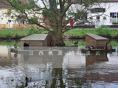江西鹰潭法院凌云 江西鹰潭法院凌云
