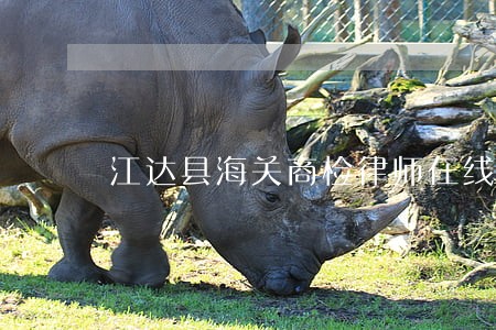 江达县海关商检律师在线免费咨询 江达县海关商检律师在线免费咨询
