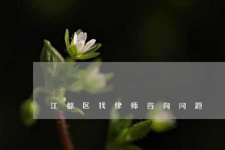 江都区找律师咨询问题 江都区找律师咨询问题