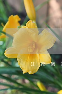 江都离婚协议律师哪家好 江都离婚协议律师哪家好