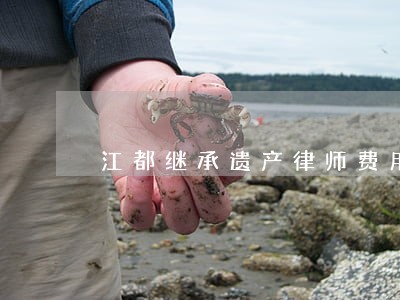 江都继承遗产律师费用 江都继承遗产律师费用