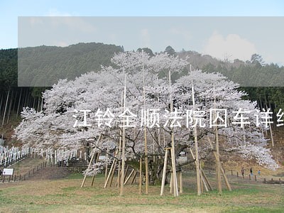 江铃全顺法院囚车详细配置有吗