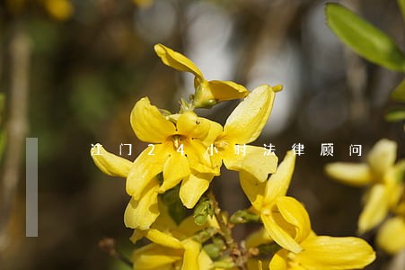 江门24小时法律顾问 江门24小时法律顾问