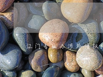 江门专业办涉外债权债务律师团队 江门专业办涉外债权债务律师团队