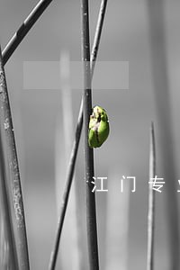 江门专业婚姻律师咨询 江门专业婚姻律师咨询